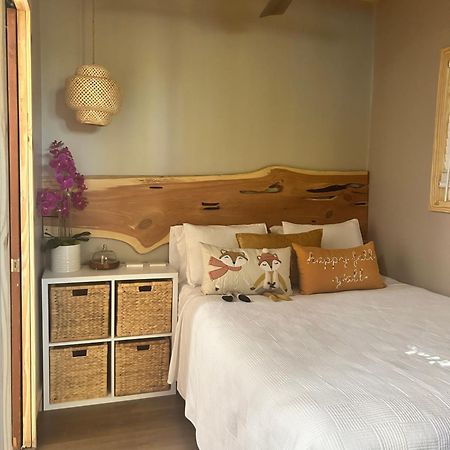 Sweet Tiny Cabin Tampa Zewnętrze zdjęcie