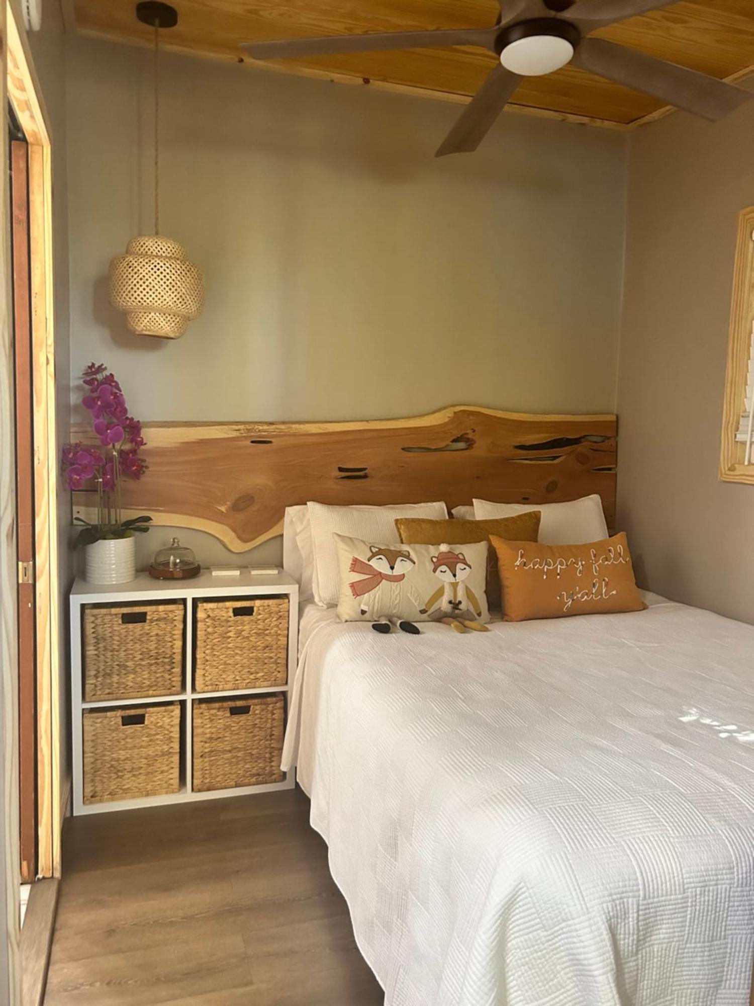 Sweet Tiny Cabin Tampa Zewnętrze zdjęcie